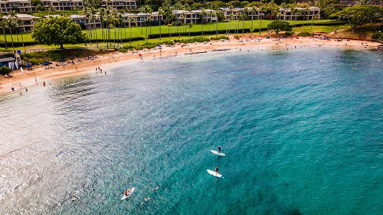 Paddle Boarding The Magic of Maui's Waters