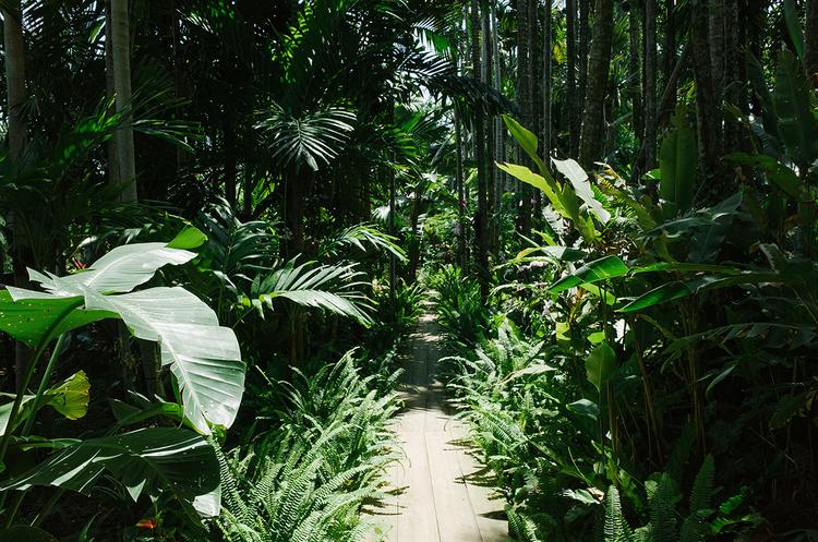 Exploring Okinawa, Japan