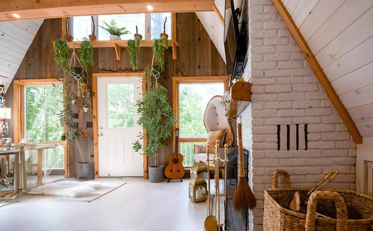 Houseplant Care for the "Botanically Challenged": Thriving Without a Green Thumb