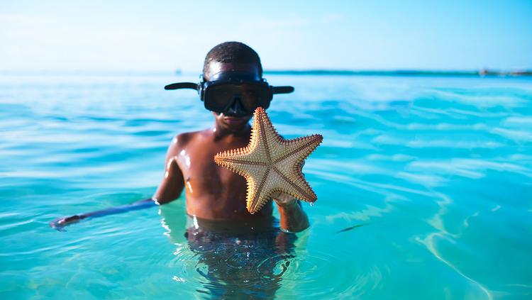 Belize: Where the Sea Speaks in Colors